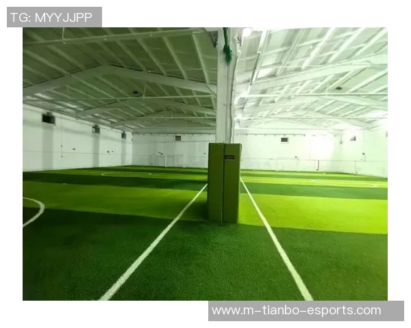 足球场地器材的选择与维护指南助你打造完美比赛环境